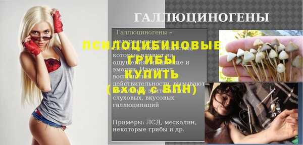 стафф Карпинск