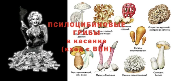кокаин VHQ Каменка